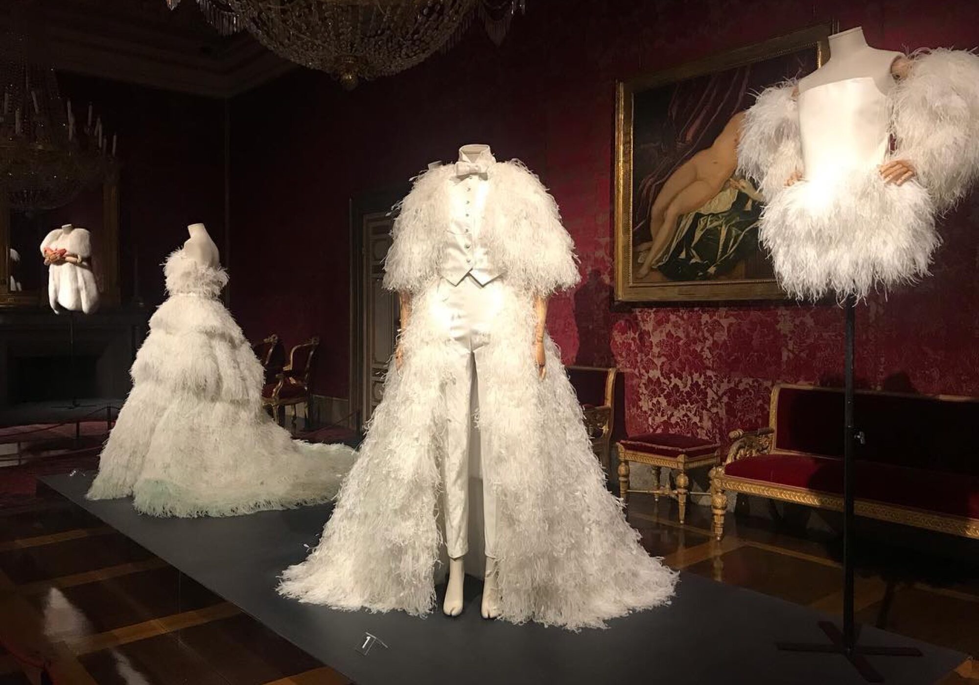 animalia-fashion-cover