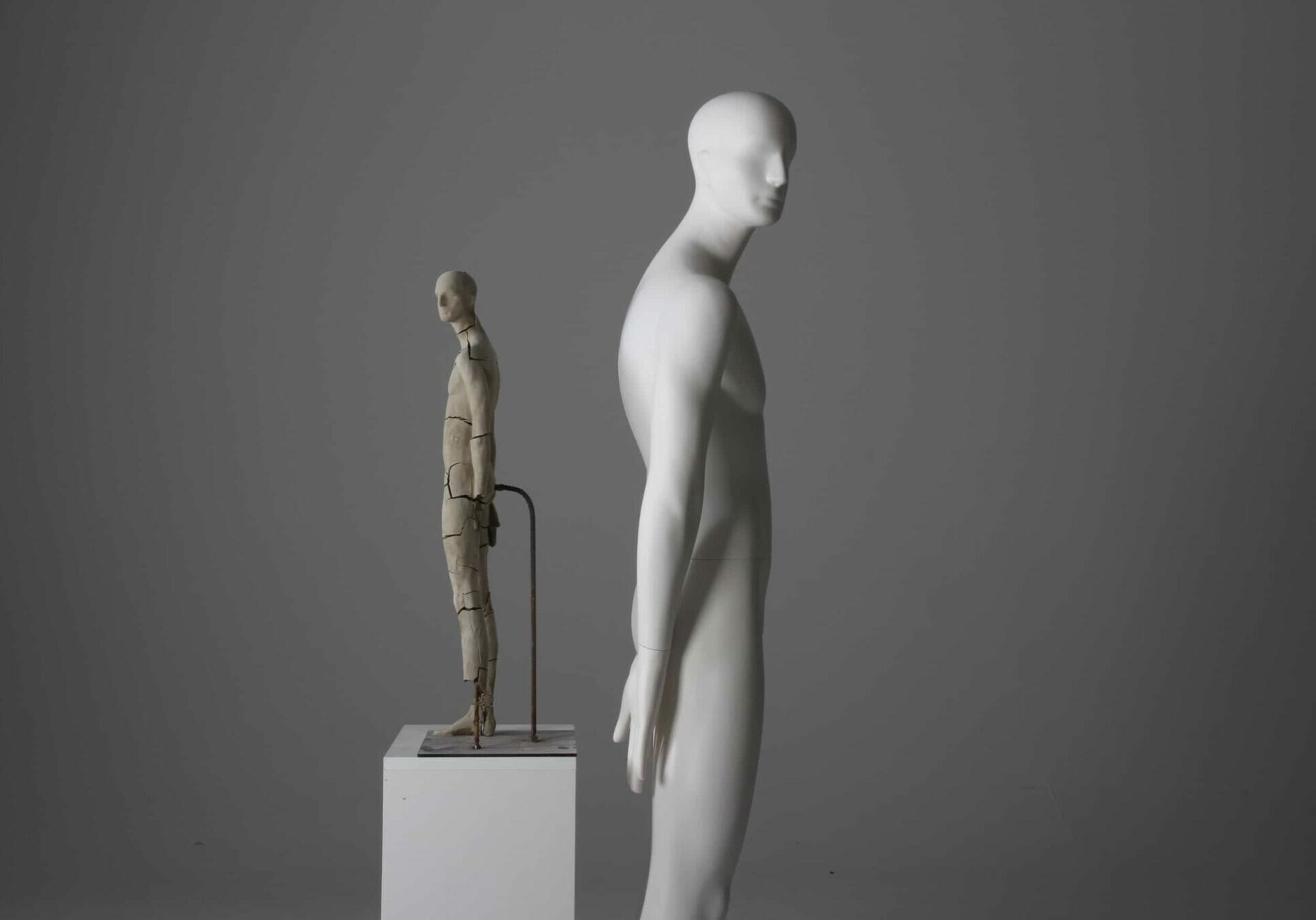 male mannequin by bonaveri