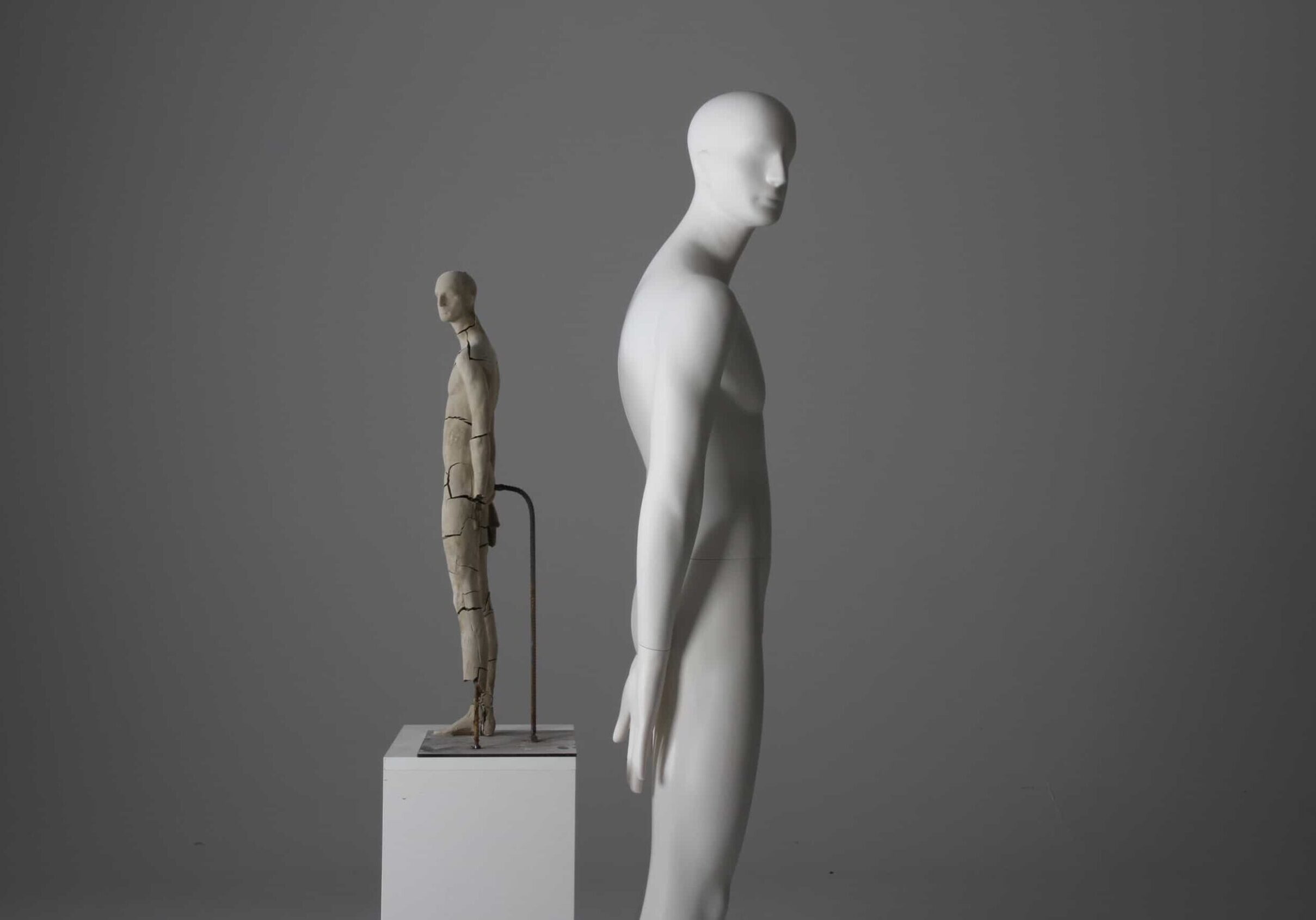 male mannequin by bonaveri